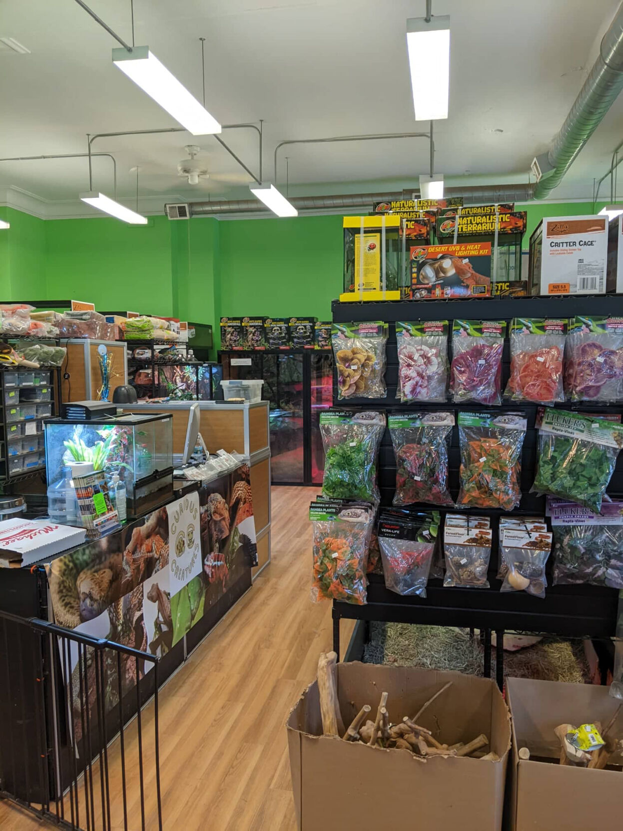 store #3.jpg
